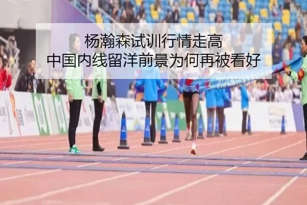 杨瀚森试训行情走高 中国内线留洋前景为何再被看好
